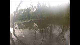 Brandywine River Fishing  Pond Hopping Near the Museum [upl. by Aihsikal]