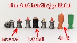 Accuracy testing the most extreme hunting pellets inc JSB Hades Predator and Gamo lethal [upl. by Netsruk]