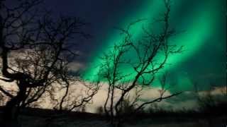 Amazing view Northern Lights Aurora Borealis in the Arctic [upl. by Aldora269]