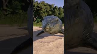 COMPARACIÓN DE TAMAÑO DE LAS CRIATURAS MARINAS  Jurassic World Evolution 2 [upl. by Harifaz]