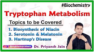 Tryptophan metabolism Biosynthesis of Niacin serotonin and melatonin Hartnups disease [upl. by Ayatnohs108]