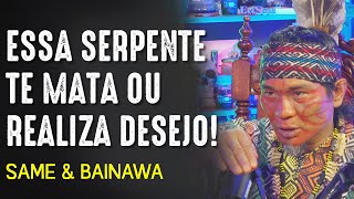 CONTATO com ESPÍRITOS OCULTOS na FLORESTA AMAZÔNICA [upl. by Acsot]