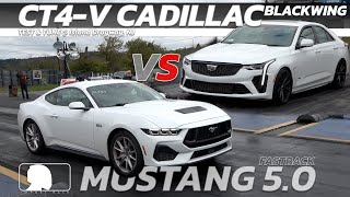 2024 Cadillac CT4 V Blackwing vs 2024 Ford Mustang Fastback 5 0 [upl. by Hnirt]