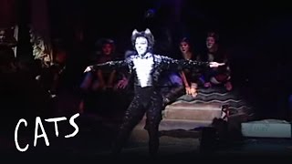 Mr Mistoffelees Jhean Allex  Brazil  Cats the Musical [upl. by Tirzah]