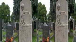 Der Ottakringer Friedhof in 3D [upl. by Relyuc]