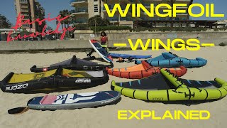 How to Wingfoil The Wings Explained [upl. by Alled]