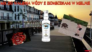 █▬█ █ ▀█▀ MIX DO WALENIA WODY Z ZIOMECZKAMI W MIELNIE █▬█ █ ▀█▀ [upl. by Pravit]