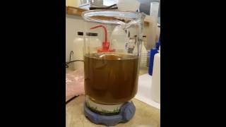 Advanced Oxidation of contaminated water [upl. by Hailat425]