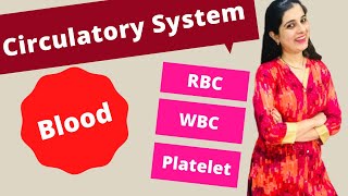 The Circulatory System  Blood Class 8 ICSE Biology  Blood  RBC WBC Platelets Plasma [upl. by Anasxor]