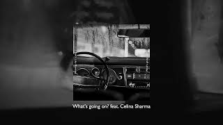 Whats going on feat Celina Sharma Audio [upl. by Nivi]