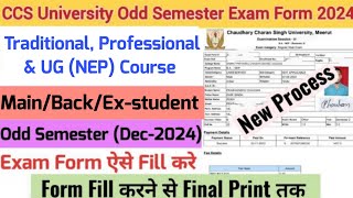 How to Fill CCS University Odd Semester Exam Form 2024  CCSU Exam Form fill up 202425 [upl. by Nieberg]