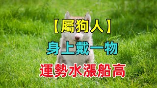 【屬狗終身吉祥物】屬狗人身上戴一物，運勢水漲船高，財富不差錢！ [upl. by Jim750]