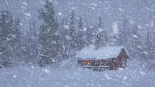 Laute Schneesturmgeräusche Zum Schlafen Entspannen Im Holzhaus  Heulende Windgeräusche [upl. by Ardeid69]