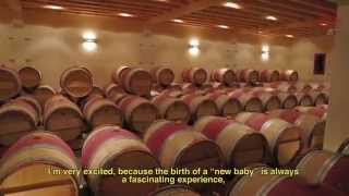 Vinification of Bordeaux red wines [upl. by Hcahsem]