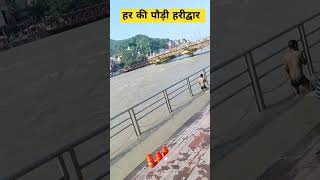 Haridwar har ki pourishortsyoutubeshorts ganga uttarakhand haridwargangaaarti [upl. by Penthea]