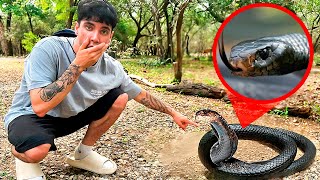 ENCONTRAMOS la SERPIENTE MÁS PELIGROSA del MUNDO MAMBA NEGRA  Día 6 [upl. by Yelraf]