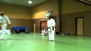 Taikyoku shodan Beginners kata at my dojos in Norway [upl. by Beichner]