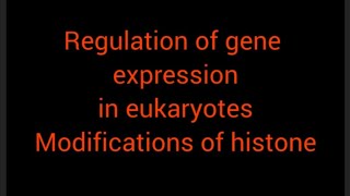 regulation of gene expression in eukaryotes [upl. by Gennie]