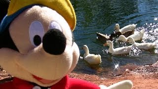 MICKEY MOUSE FEEDING THE DUCKS AT THE DUCK POND [upl. by Korrie]