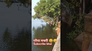 Fishing garaiya machriviral reel मछली [upl. by Salena232]