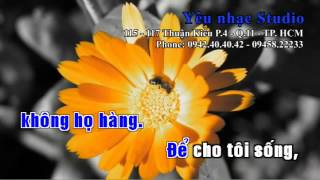 KARAOKE Đời Tôi Là Của Tôi Nguyễn Hưng [upl. by Adyaj]