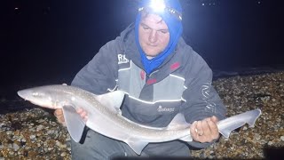 beach fishing on Selsey bill for smooth hound with my new go pro sea fishing uk [upl. by Mauri]