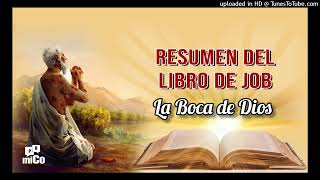 Job19JOB ARGUMENTA SU FE LA BOCA DE DIOS [upl. by Sass]