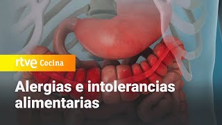 Alergias e intolerancias alimentarias  Saber Vivir  RTVE Cocina [upl. by Reeves]