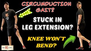 MULTIPLE SCLEROSIS EXERCISE  Circumduction Gait Knee Hyperextension This Exercise Is For YOU [upl. by Naujet]