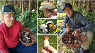 Pilze Tour mit Schwesterherz  Steinpilze Birkenpilze und seltene Funde 🍄 [upl. by Jacobsohn]