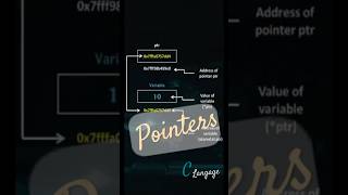 Understand pointers in C langage [upl. by Attehcnoc867]