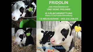 FRIDOLIN UND SEINE FREUNDE [upl. by Holt]