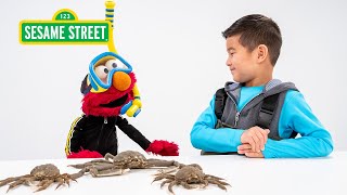 Sesame Street Elmo and Kids Meet a Marine Biologist featuring hihokids [upl. by Jansen]