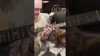 Cat interferes with learning new song shorts [upl. by Drahser140]