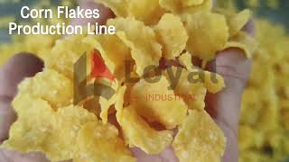 How to make corn flakes Corn Flakes Production Line [upl. by Grayce]