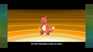 charmeleon evolves into charizard in megamon league [upl. by Gardy]