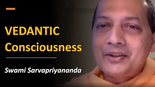 Consciousness  Vedantic Perspective  Swami Sarvapriyananda [upl. by Sheya593]