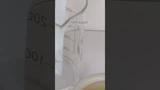 Chromatography of Spinach  Separation of Chlorophyll and Xanthophyll  Class 11 Biology science [upl. by Karb]