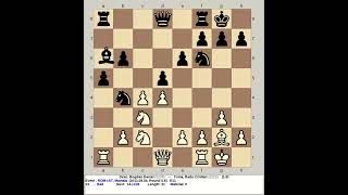 Deac Bogdan Daniel vs Toma Radu Cristian  Romania Chess 2013 Mamala [upl. by Nilok]