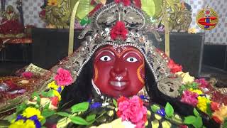 ALATI OF JOGAMAYA  Shree Jogamaya Devi Pitha  Traditional Devi AARATI [upl. by Allehc]