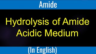 Hydrolysis of amide acidic medium  Lecture I IITian Faculty [upl. by Anirhtak893]