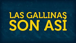 LAS GALLINAS SON ASÍ ► con letra [upl. by Billie]