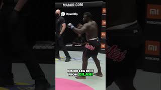 Gilanis Precision Kicks A Kickboxing Showdown trending mma ufc trending boxing [upl. by Eceela]