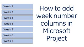 How to add week number columns in Microsoft Project [upl. by Yklam527]