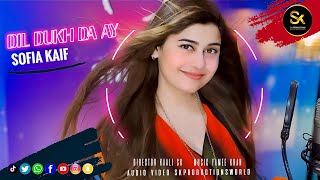 Dil Dukh Da Ay  Sofia Kaif  New Saraiki Song 2024  Official HD Video by SK Productions [upl. by Oderfliw294]