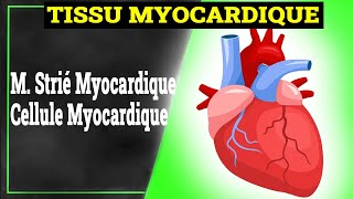 Tissu Myocardique  Histologie [upl. by Massingill]