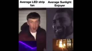 Average LED strip fan vs Average Sunlight Enjoyer [upl. by Iohk]