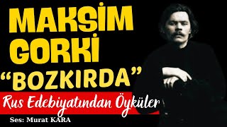 Maksim Gorki quotBozkırdaquot Rus Edebiyatından Sesli Kitaplar [upl. by Anastatius]