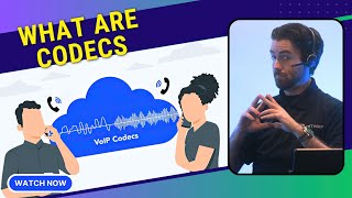 What Are VoIP Codecs How They Work and Common Codec Types [upl. by Nwadrebma616]