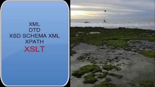 XML DTD XSD XPATH XSLT PARTIE 4 [upl. by Taffy]